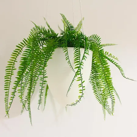 Appartamento Peretola Airport + Park